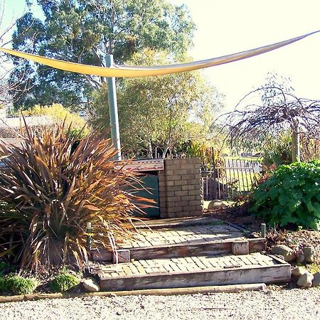 Bogong Moth Motel Mount Beauty Luaran gambar