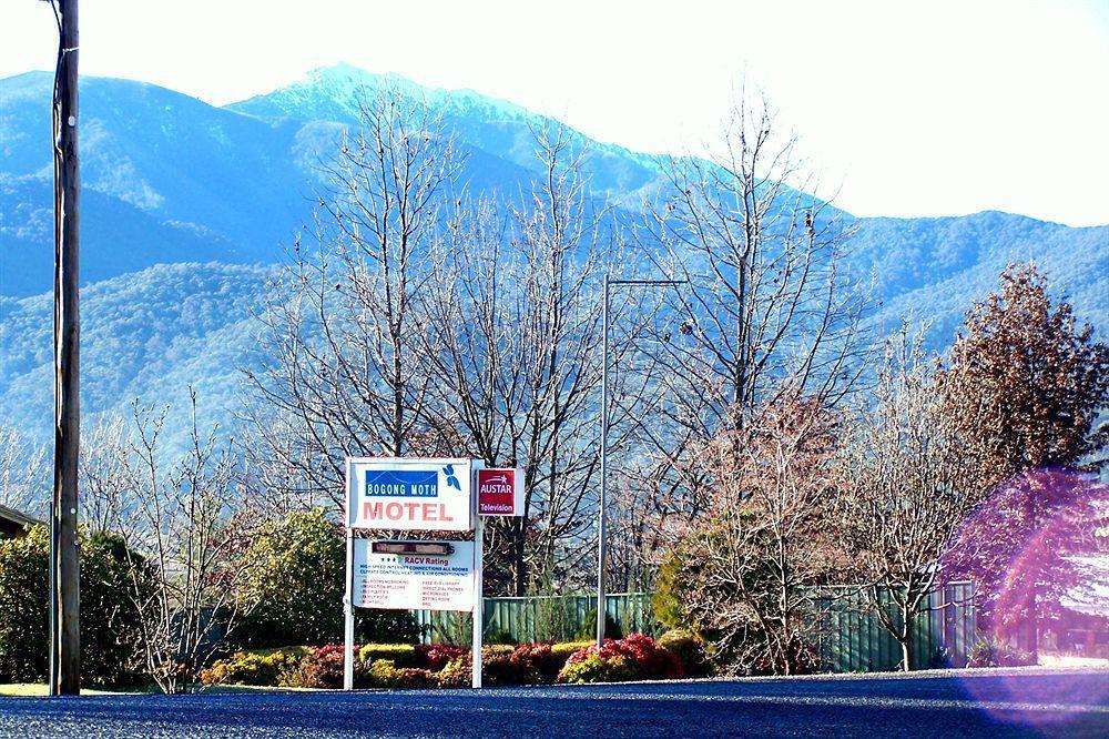 Bogong Moth Motel Mount Beauty Luaran gambar