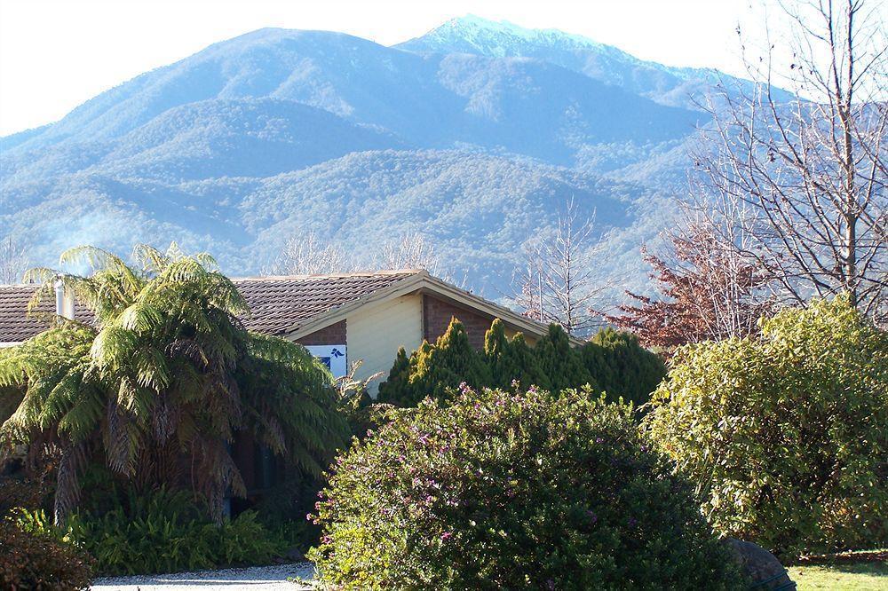 Bogong Moth Motel Mount Beauty Luaran gambar
